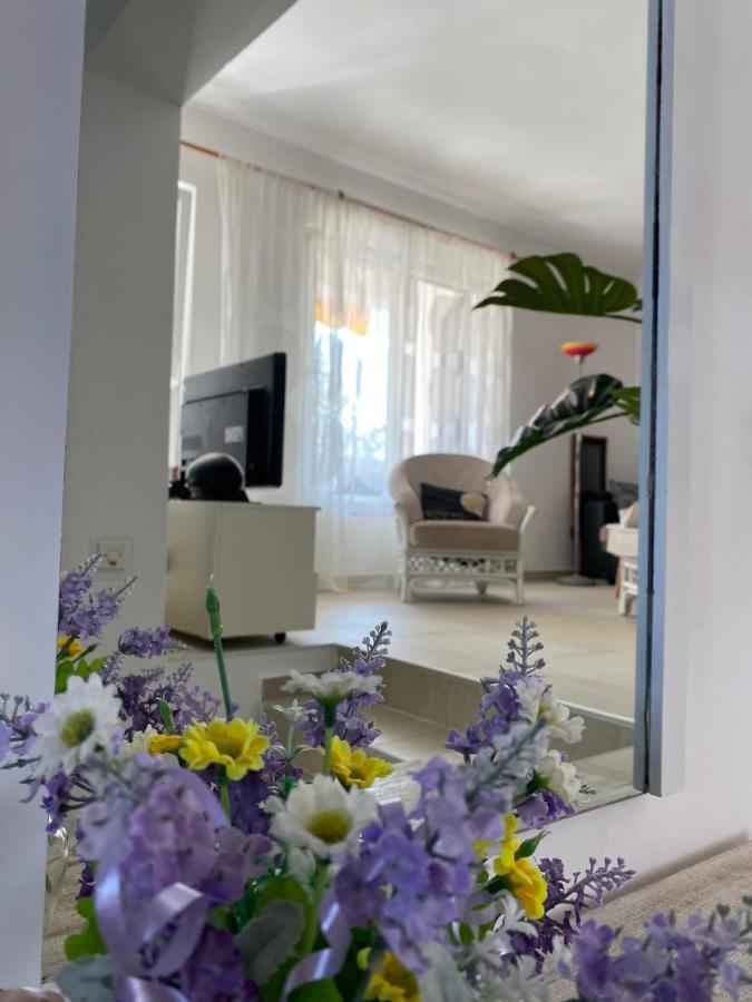 Apartment Lavanda Molat Kültér fotó
